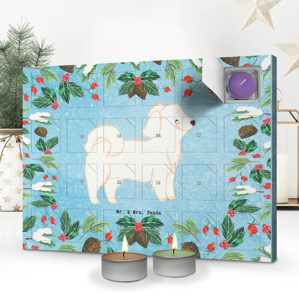 Adventskalender Havaneser Moment kerzenkalender, adventskalender mit duftkerzen, Kerzen Adventskalender, Duftkerzen Adventskalender, adventskalender mit kerzen, aroma adventskalender, duft adventskalender, Adventskalender, advent kalender, duft kalender, Weihnachtskalender, adventskalender kerzen, duftkerzenkalender, adventskalender duftkerzen, adventskerzen kalender, weihnachts adventskalender, raumduft adventskalender, Hund, Hunderasse, Geschenk, Rassehund, Hundebesitzer, Tierfreund, Welpe, Schenken, Havaneser, Bichon Havanais, Havi, Bichón Habanero