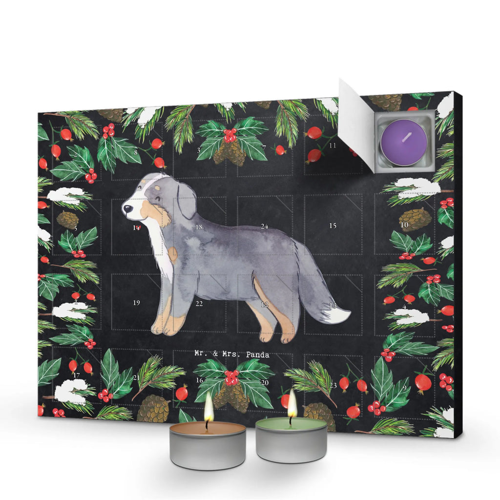 Adventskalender Berner Sennenhund Moment duft kalender, duft adventskalender, adventskalender mit duftkerzen, Weihnachtskalender, Duftkerzen Adventskalender, Kerzen Adventskalender, advent kalender, adventskerzen kalender, Adventskalender, adventskalender mit kerzen, weihnachts adventskalender, duftkerzenkalender, raumduft adventskalender, adventskalender duftkerzen, aroma adventskalender, kerzenkalender, adventskalender kerzen, Hund, Geschenk, Schenken, Hunderasse, Rassehund, Hundebesitzer, Tierfreund, Welpe, Berner Sennenhund, Dürrbächler