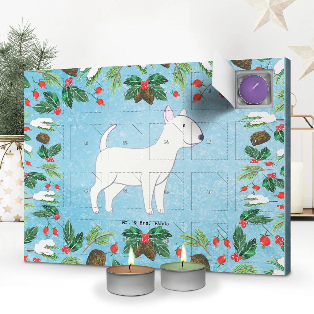  Bullterrier chwila dawanie, prezent, Pies, rasa psa, pies rasowy, właściciel psa, miłośnik zwierząt, szczeniak