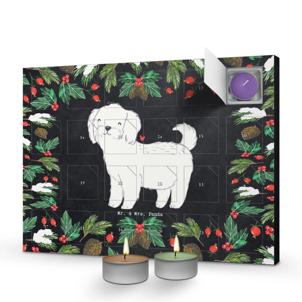 Adventskalender Malteser Moment raumduft adventskalender, Kerzen Adventskalender, Adventskalender, kerzenkalender, duft adventskalender, duftkerzenkalender, duft kalender, weihnachts adventskalender, Duftkerzen Adventskalender, advent kalender, adventskalender duftkerzen, adventskalender kerzen, aroma adventskalender, adventskerzen kalender, adventskalender mit duftkerzen, Weihnachtskalender, adventskalender mit kerzen, Schenken, Hunderasse, Rassehund, Hundebesitzer, Tierfreund, Welpe, Geschenk, Hund, Malteser