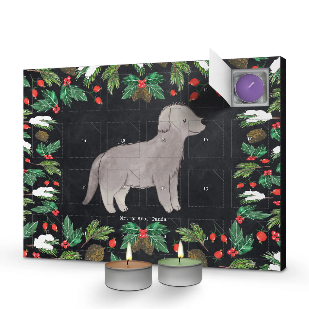  Nowofundland Chwila dawanie, prezent, Pies, rasa psa, pies rasowy, właściciel psa, miłośnik zwierząt, szczeniak