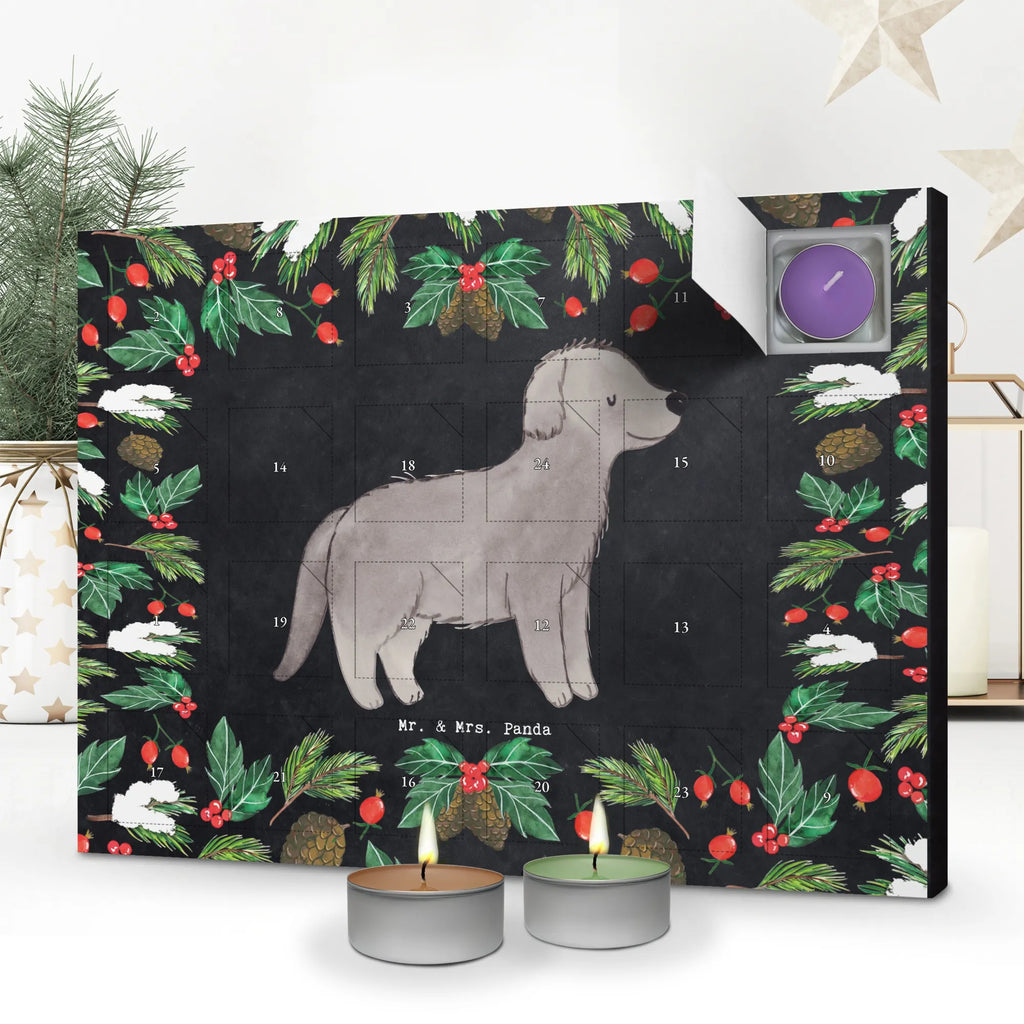  Nowofundland Chwila dawanie, prezent, Pies, rasa psa, pies rasowy, właściciel psa, miłośnik zwierząt, szczeniak