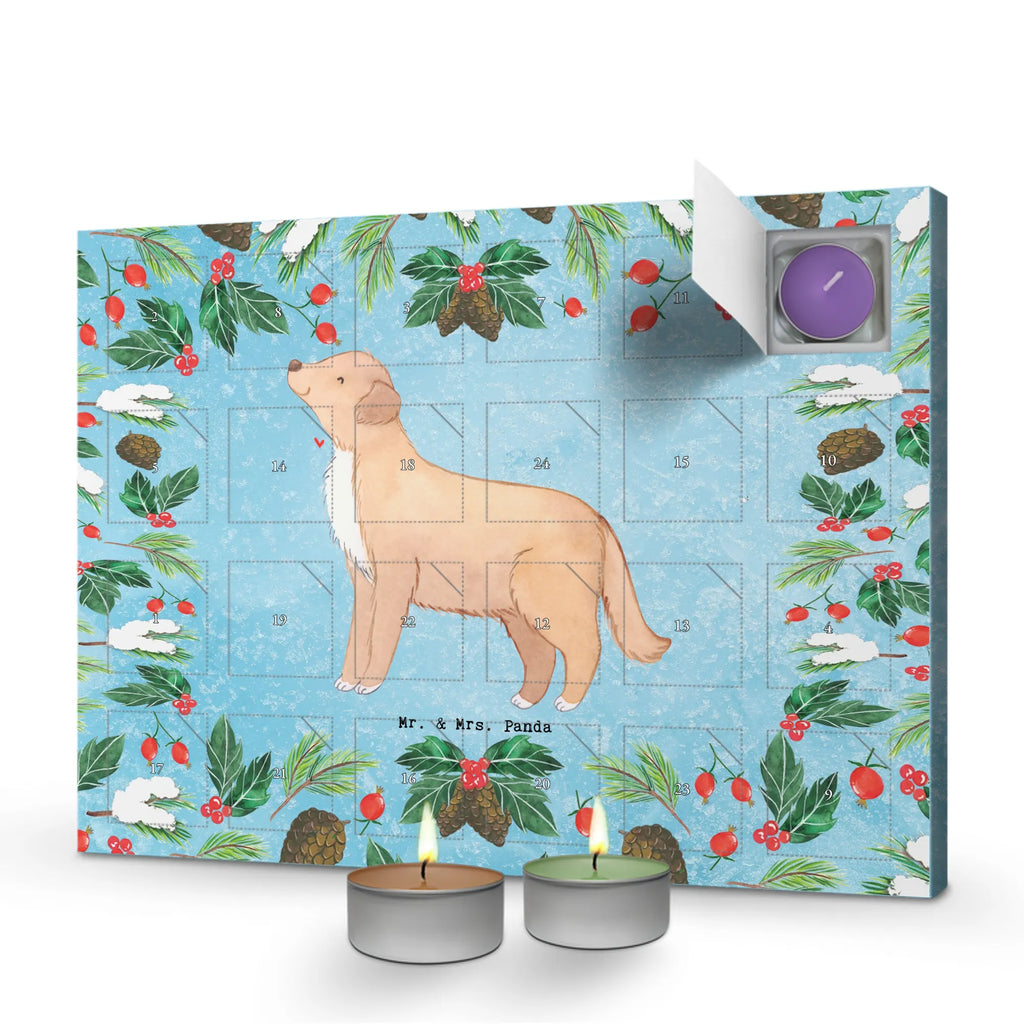  Kaczka z Nowej Szkocji Chwila dawanie, prezent, Pies, rasa psa, pies rasowy, właściciel psa, miłośnik zwierząt, szczeniak