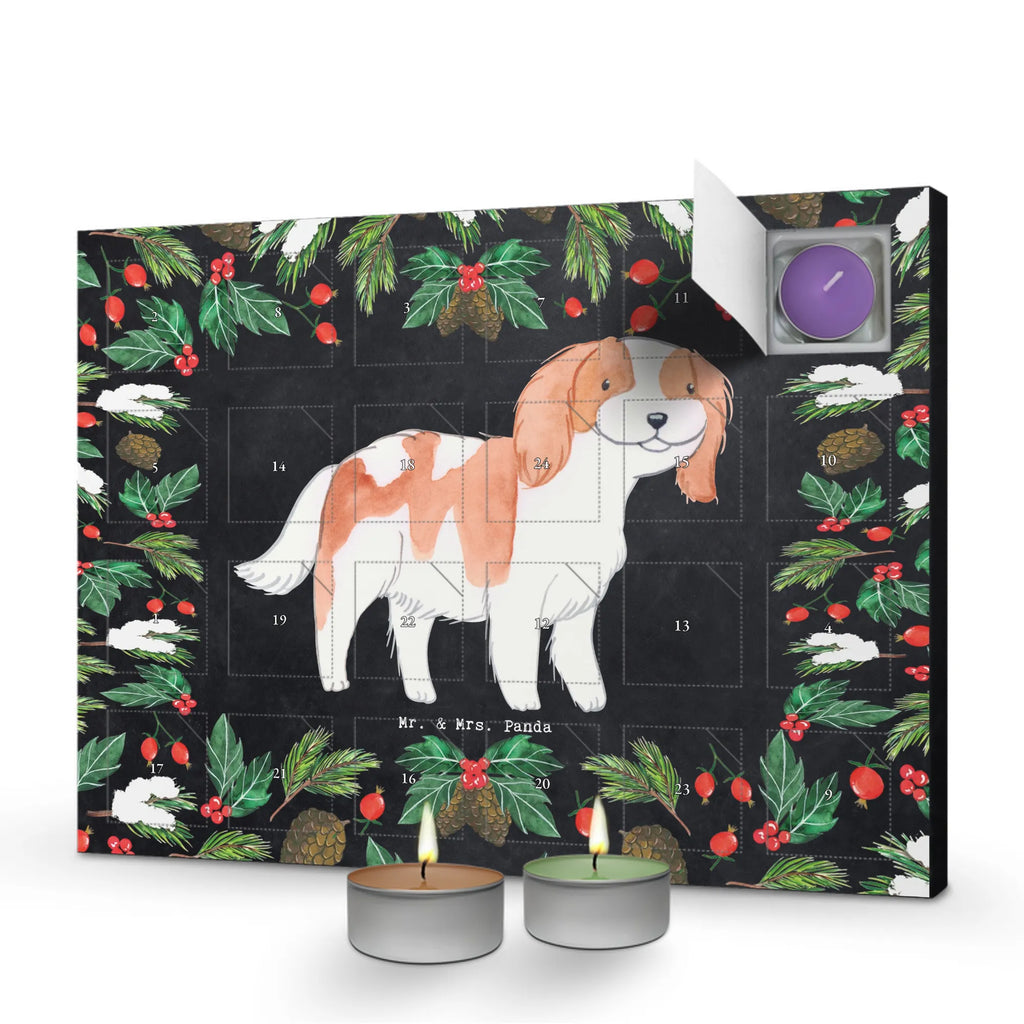  Cavalier King Charles Spaniel chwila Kerzen Adventskalender, weihnachts adventskalender, adventskalender mit kerzen, adventskerzen kalender, duft kalender, Adventskalender, raumduft adventskalender, advent kalender, Duftkerzen Adventskalender, adventskalender kerzen, duft adventskalender, adventskalender mit duftkerzen, duftkerzenkalender, Weihnachtskalender, kerzenkalender, aroma adventskalender, adventskalender duftkerzen, Geschenk, Schenken, Hunderasse, Rassehund, Hundebesitzer, Tierfreund, Welpe, Hund, Cavalier King Charles Spaniel