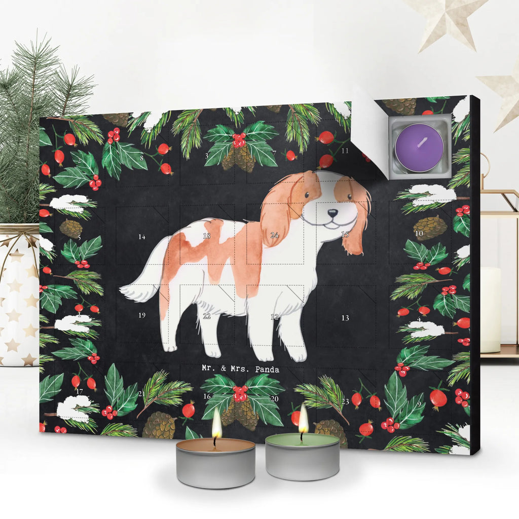  Cavalier King Charles Spaniel chwila Kerzen Adventskalender, weihnachts adventskalender, adventskalender mit kerzen, adventskerzen kalender, duft kalender, Adventskalender, raumduft adventskalender, advent kalender, Duftkerzen Adventskalender, adventskalender kerzen, duft adventskalender, adventskalender mit duftkerzen, duftkerzenkalender, Weihnachtskalender, kerzenkalender, aroma adventskalender, adventskalender duftkerzen, Geschenk, Schenken, Hunderasse, Rassehund, Hundebesitzer, Tierfreund, Welpe, Hund, Cavalier King Charles Spaniel