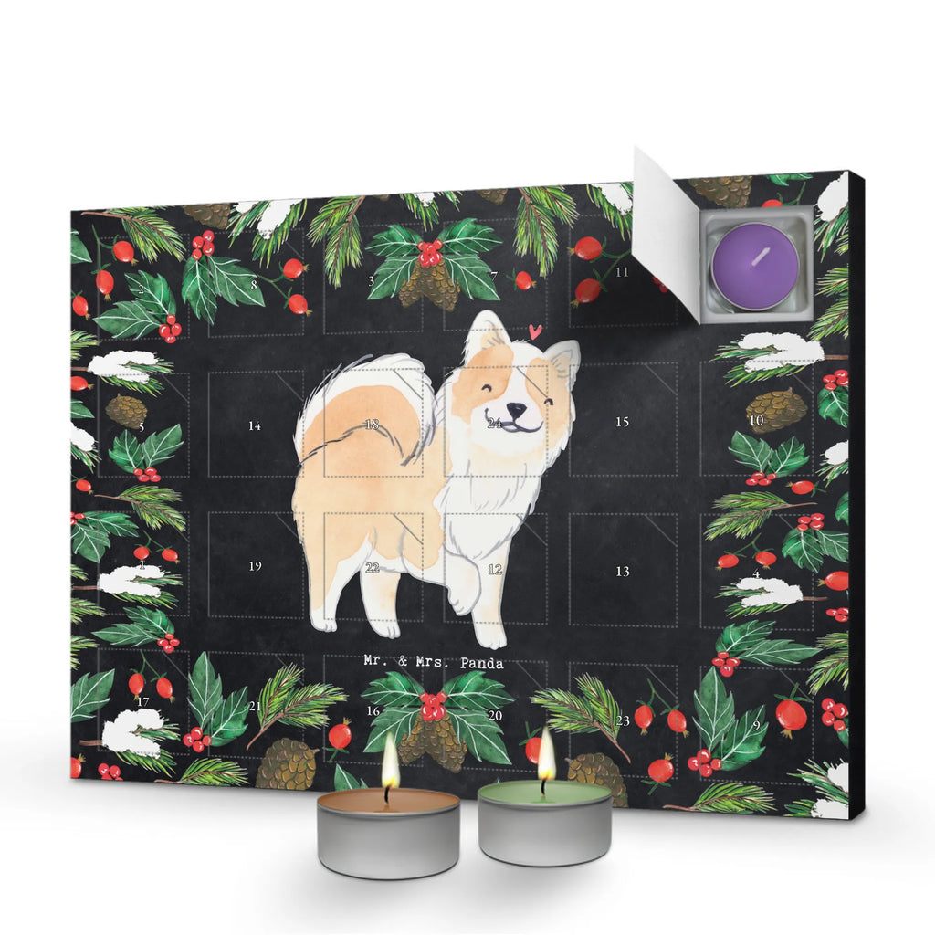 Scented candle advent calendar Island Dog Moment gift, animal lover, giving, dog breed, purebred dog, dog owner, puppy