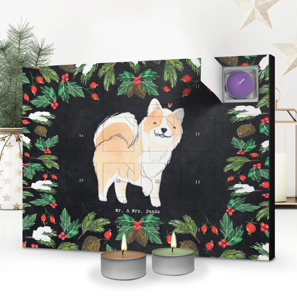 Scented candle advent calendar Island Dog Moment gift, animal lover, giving, dog breed, purebred dog, dog owner, puppy