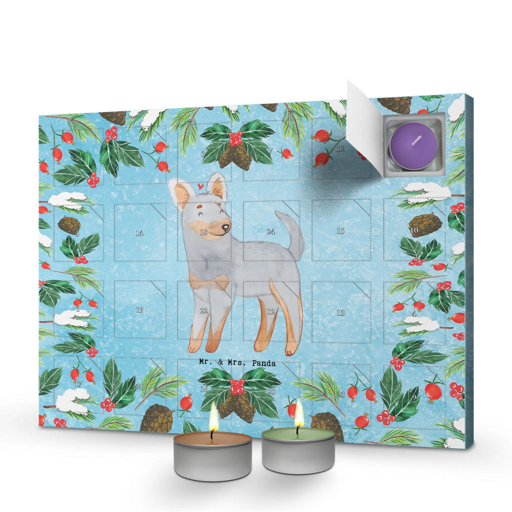  Praski Rattler Chwila dawanie, prezent, Pies, rasa psa, pies rasowy, właściciel psa, miłośnik zwierząt, szczeniak