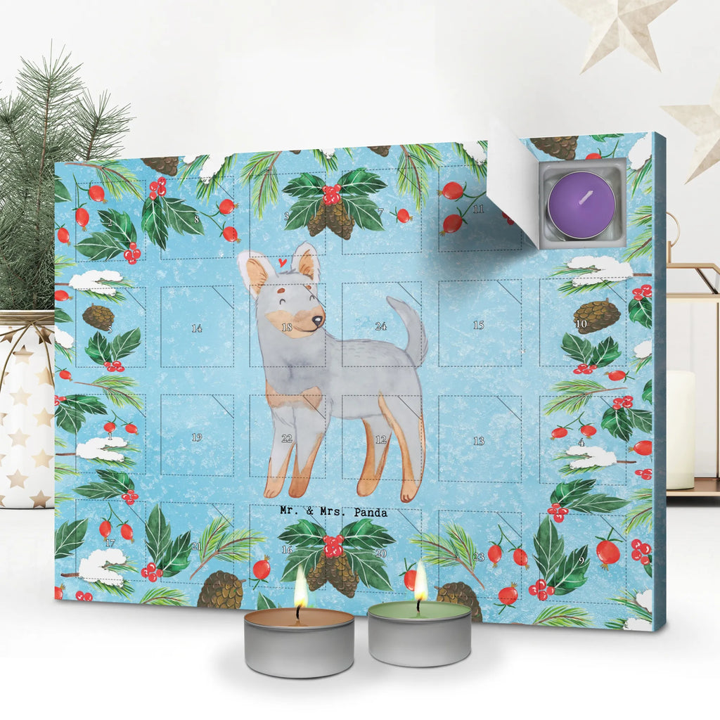  Praski Rattler Chwila dawanie, prezent, Pies, rasa psa, pies rasowy, właściciel psa, miłośnik zwierząt, szczeniak