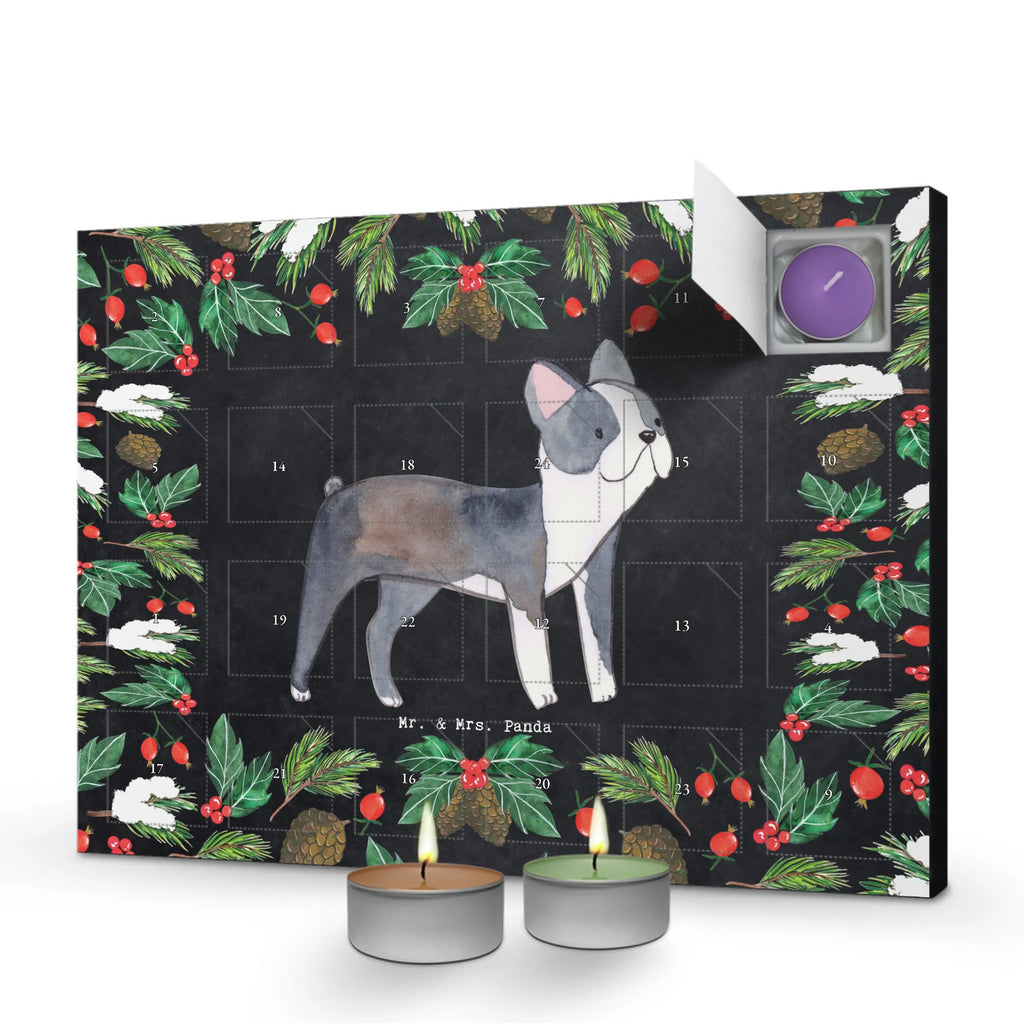 Scented candle advent calendar Boston Terrier Moment gift, animal lover, giving, dog breed, purebred dog, dog owner, puppy