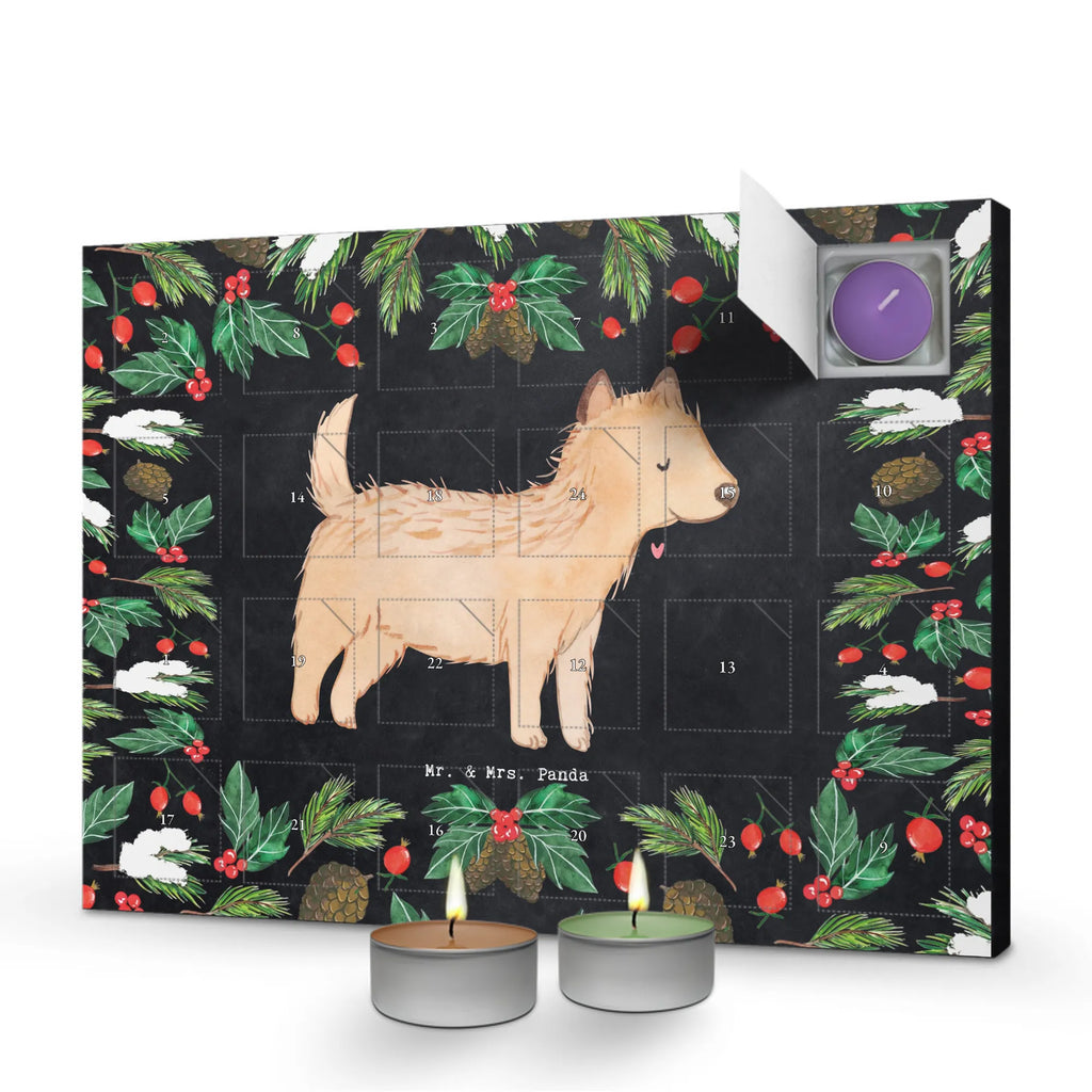 Scented candle advent calendar Cairn Terrier Moment gift, animal lover, giving, dog breed, purebred dog, dog owner, puppy