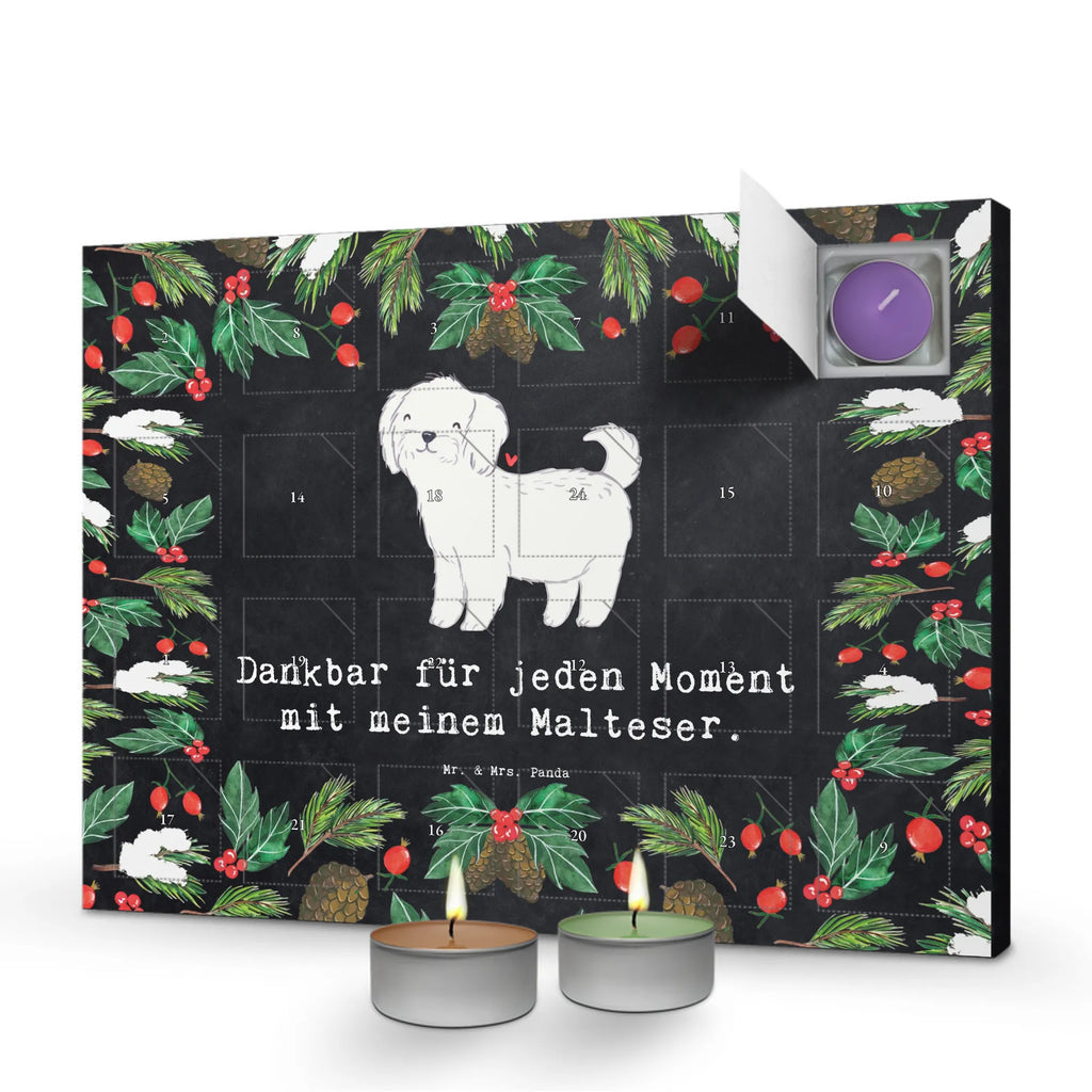 Adventskalender Malteser Moment raumduft adventskalender, Kerzen Adventskalender, Adventskalender, kerzenkalender, duft adventskalender, duftkerzenkalender, duft kalender, weihnachts adventskalender, Duftkerzen Adventskalender, advent kalender, adventskalender duftkerzen, adventskalender kerzen, aroma adventskalender, adventskerzen kalender, adventskalender mit duftkerzen, Weihnachtskalender, adventskalender mit kerzen, Schenken, Hunderasse, Rassehund, Hundebesitzer, Tierfreund, Welpe, Geschenk, Hund, Malteser