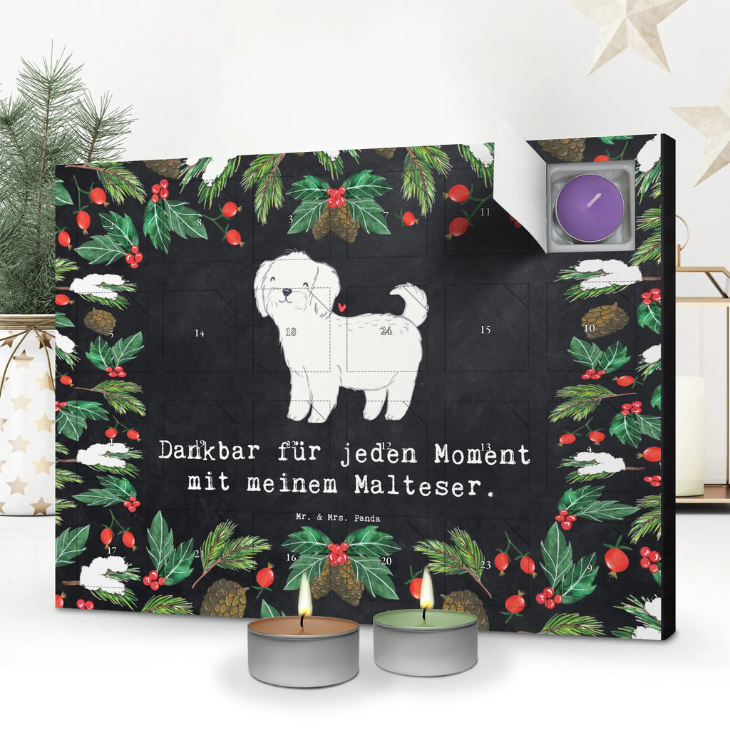 Adventskalender Malteser Moment raumduft adventskalender, Kerzen Adventskalender, Adventskalender, kerzenkalender, duft adventskalender, duftkerzenkalender, duft kalender, weihnachts adventskalender, Duftkerzen Adventskalender, advent kalender, adventskalender duftkerzen, adventskalender kerzen, aroma adventskalender, adventskerzen kalender, adventskalender mit duftkerzen, Weihnachtskalender, adventskalender mit kerzen, Schenken, Hunderasse, Rassehund, Hundebesitzer, Tierfreund, Welpe, Geschenk, Hund, Malteser