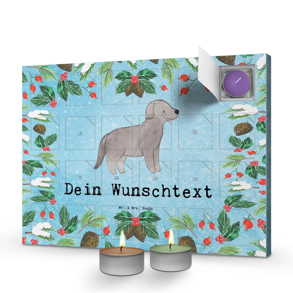  Newfoundland dog Moment gift, animal lover, giving, dog breed, purebred dog, dog owner, puppy