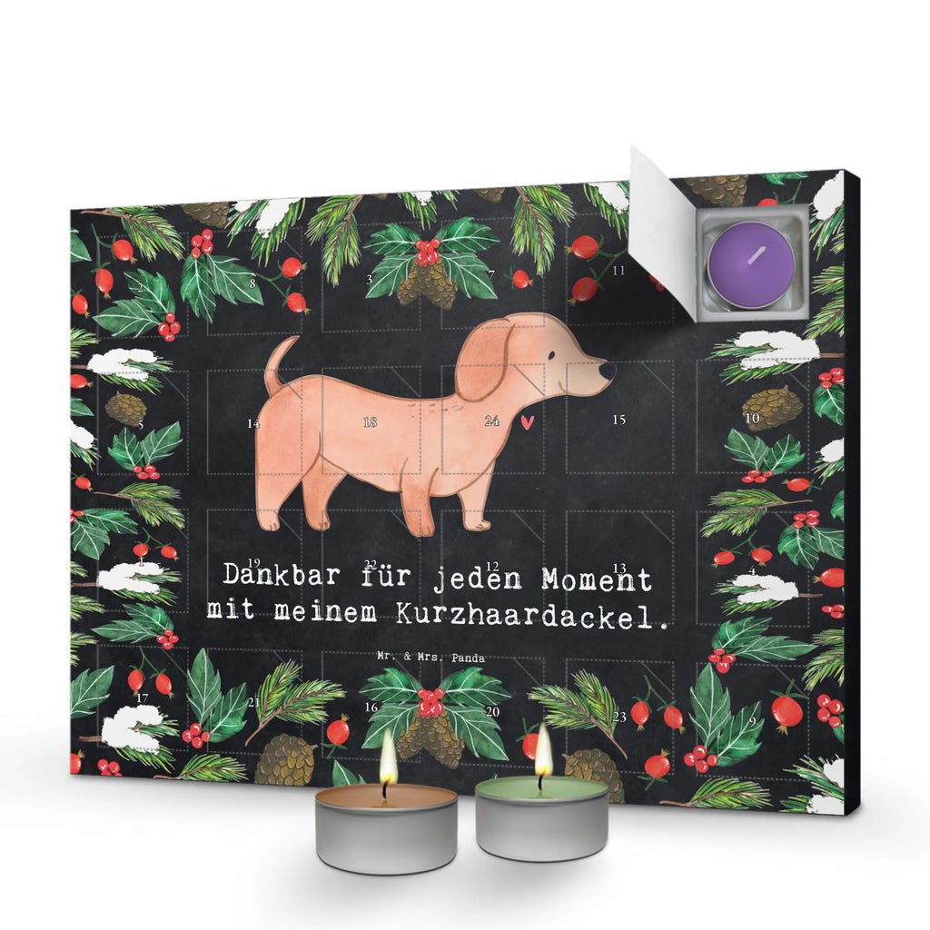  Jamnik krótkowłosy Chwila dawanie, prezent, Pies, rasa psa, pies rasowy, właściciel psa, miłośnik zwierząt, szczeniak