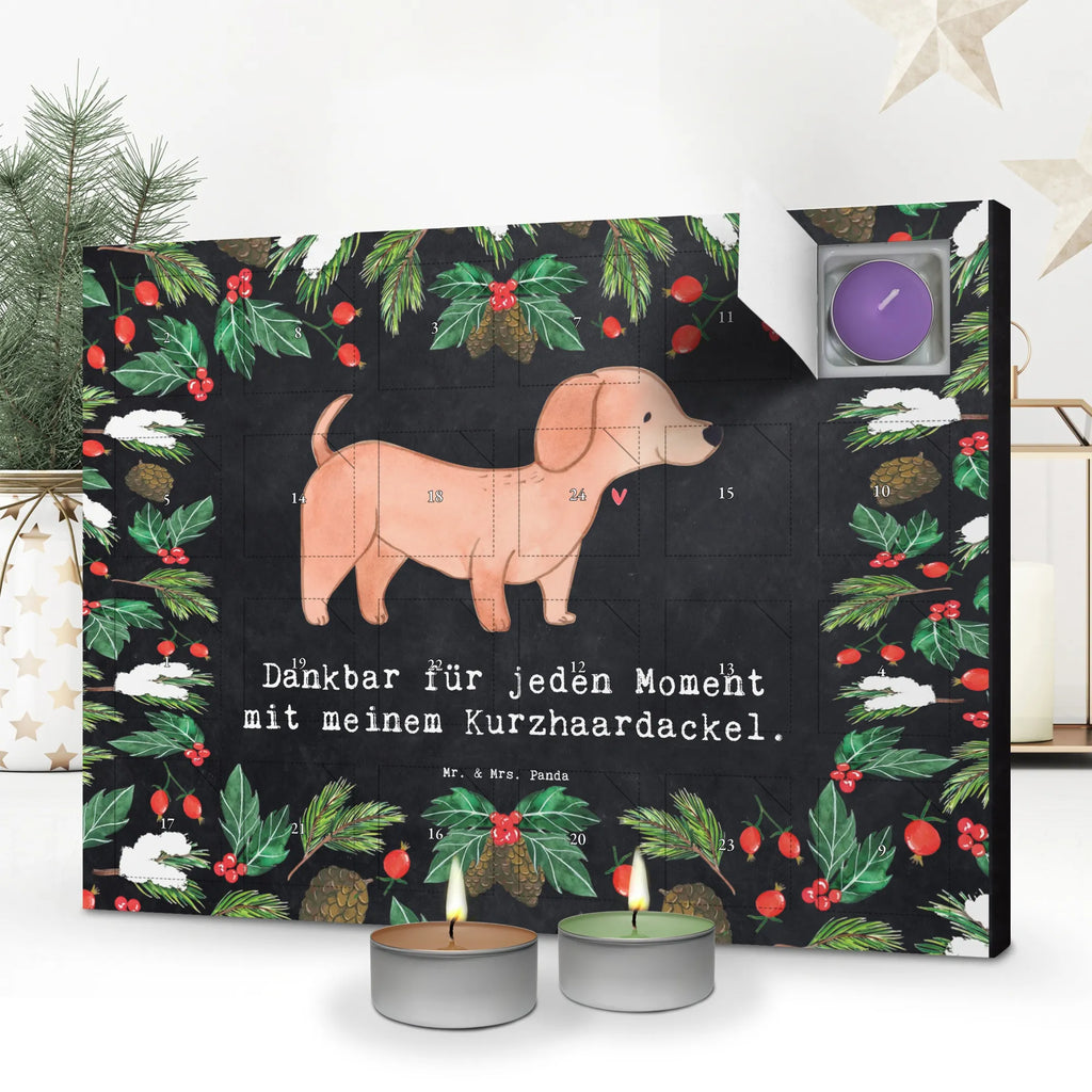  Jamnik krótkowłosy Chwila dawanie, prezent, Pies, rasa psa, pies rasowy, właściciel psa, miłośnik zwierząt, szczeniak