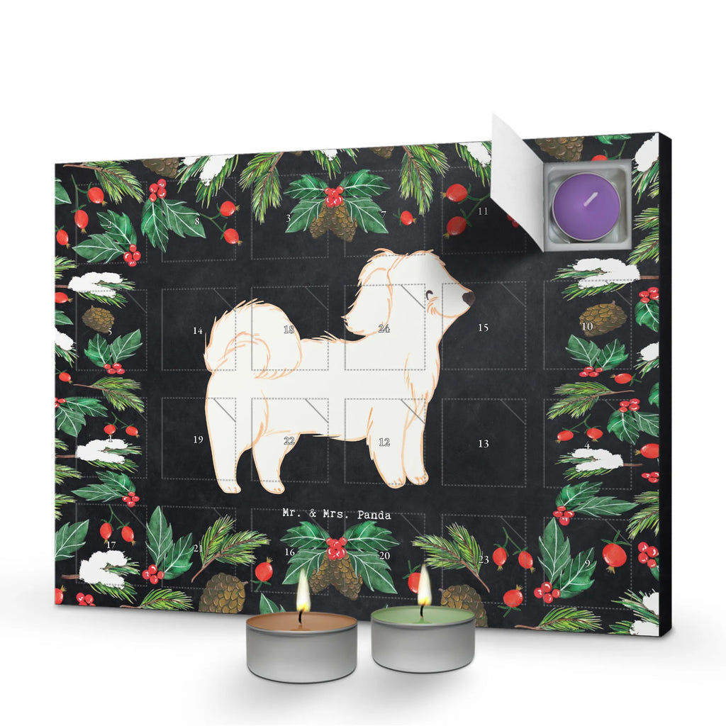 Adventskalender Havaneser Moment kerzenkalender, adventskalender mit duftkerzen, Kerzen Adventskalender, Duftkerzen Adventskalender, adventskalender mit kerzen, aroma adventskalender, duft adventskalender, Adventskalender, advent kalender, duft kalender, Weihnachtskalender, adventskalender kerzen, duftkerzenkalender, adventskalender duftkerzen, adventskerzen kalender, weihnachts adventskalender, raumduft adventskalender, Hund, Hunderasse, Geschenk, Rassehund, Hundebesitzer, Tierfreund, Welpe, Schenken, Havaneser, Bichon Havanais, Havi, Bichón Habanero