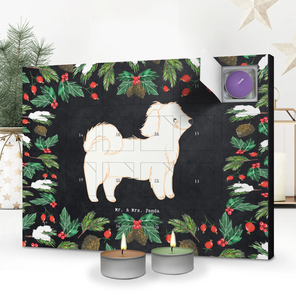 Adventskalender Havaneser Moment kerzenkalender, adventskalender mit duftkerzen, Kerzen Adventskalender, Duftkerzen Adventskalender, adventskalender mit kerzen, aroma adventskalender, duft adventskalender, Adventskalender, advent kalender, duft kalender, Weihnachtskalender, adventskalender kerzen, duftkerzenkalender, adventskalender duftkerzen, adventskerzen kalender, weihnachts adventskalender, raumduft adventskalender, Hund, Hunderasse, Geschenk, Rassehund, Hundebesitzer, Tierfreund, Welpe, Schenken, Havaneser, Bichon Havanais, Havi, Bichón Habanero