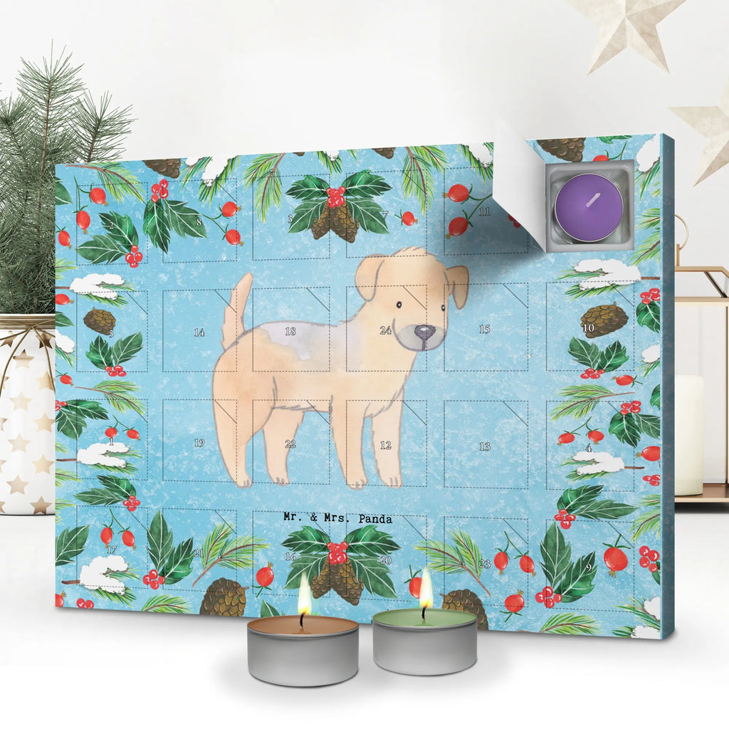  Border Terrier chwila duftkerzenkalender, Kerzen Adventskalender, Weihnachtskalender, duft adventskalender, adventskalender mit kerzen, weihnachts adventskalender, adventskalender kerzen, raumduft adventskalender, aroma adventskalender, Duftkerzen Adventskalender, adventskalender duftkerzen, Adventskalender, duft kalender, adventskalender mit duftkerzen, kerzenkalender, advent kalender, adventskerzen kalender, Hund, Geschenk, Schenken, Hunderasse, Rassehund, Hundebesitzer, Tierfreund, Welpe, Border Terrier