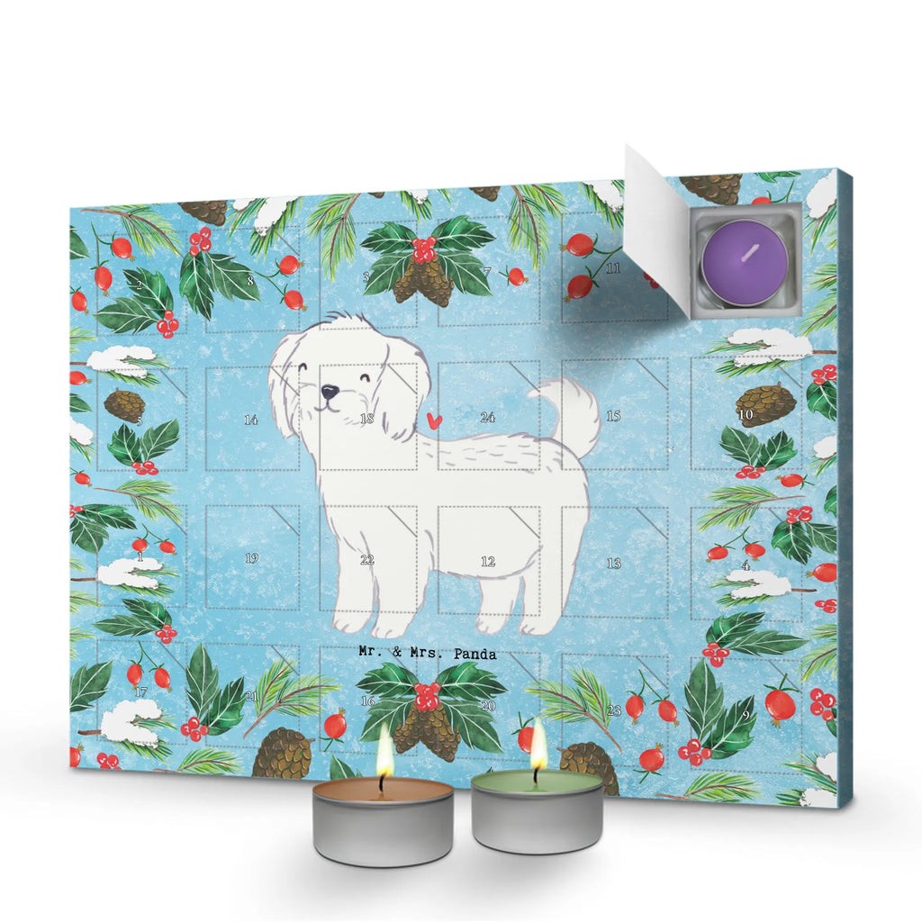 Adventskalender Malteser Moment raumduft adventskalender, Kerzen Adventskalender, Adventskalender, kerzenkalender, duft adventskalender, duftkerzenkalender, duft kalender, weihnachts adventskalender, Duftkerzen Adventskalender, advent kalender, adventskalender duftkerzen, adventskalender kerzen, aroma adventskalender, adventskerzen kalender, adventskalender mit duftkerzen, Weihnachtskalender, adventskalender mit kerzen, Schenken, Hunderasse, Rassehund, Hundebesitzer, Tierfreund, Welpe, Geschenk, Hund, Malteser