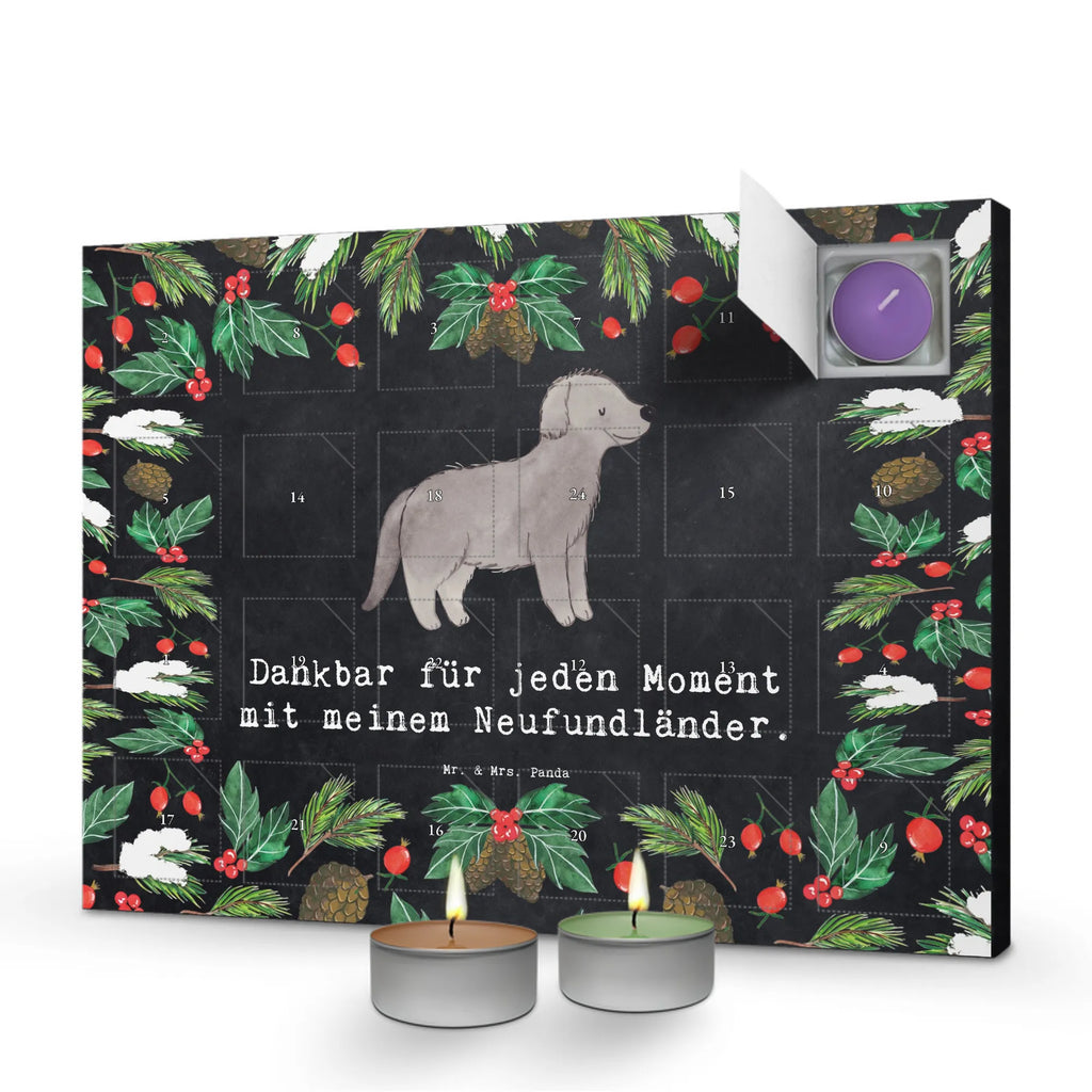  Nowofundland Chwila dawanie, prezent, Pies, rasa psa, pies rasowy, właściciel psa, miłośnik zwierząt, szczeniak