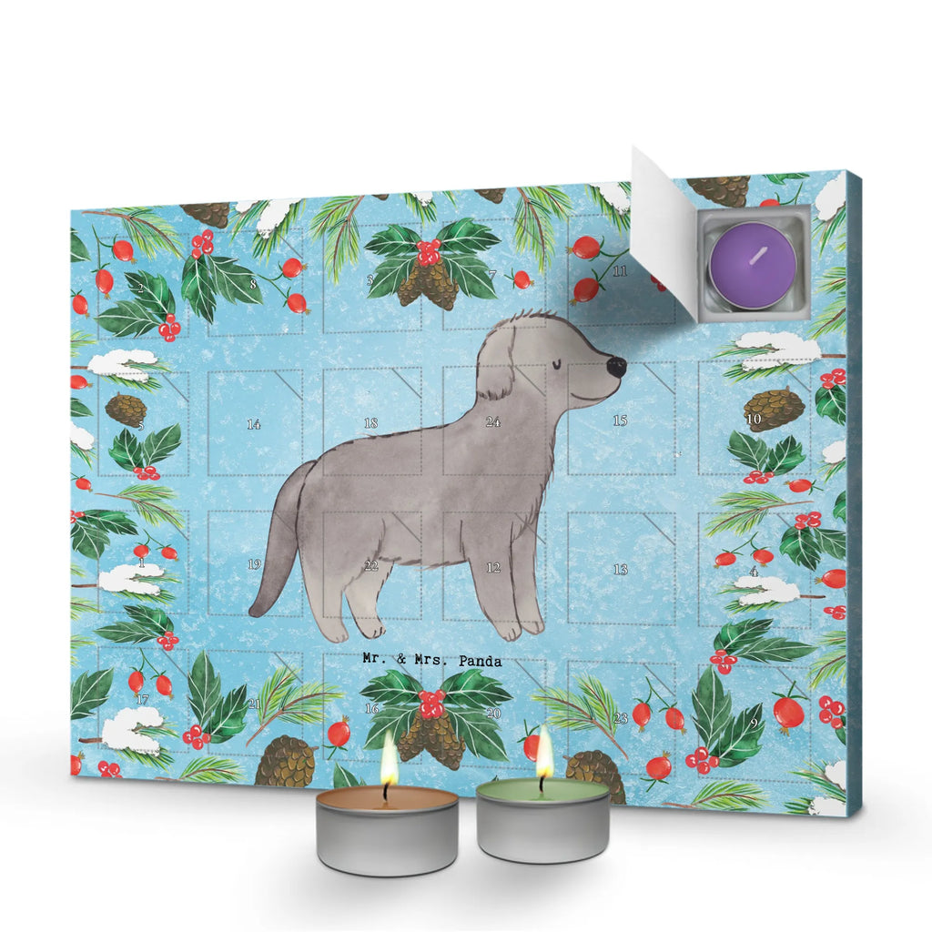  Nowofundland Chwila dawanie, prezent, Pies, rasa psa, pies rasowy, właściciel psa, miłośnik zwierząt, szczeniak