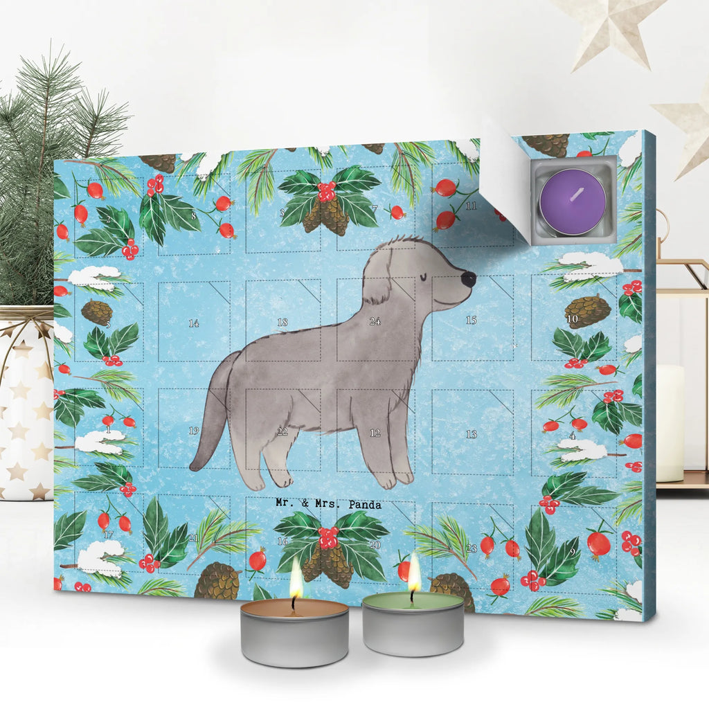  Nowofundland Chwila dawanie, prezent, Pies, rasa psa, pies rasowy, właściciel psa, miłośnik zwierząt, szczeniak