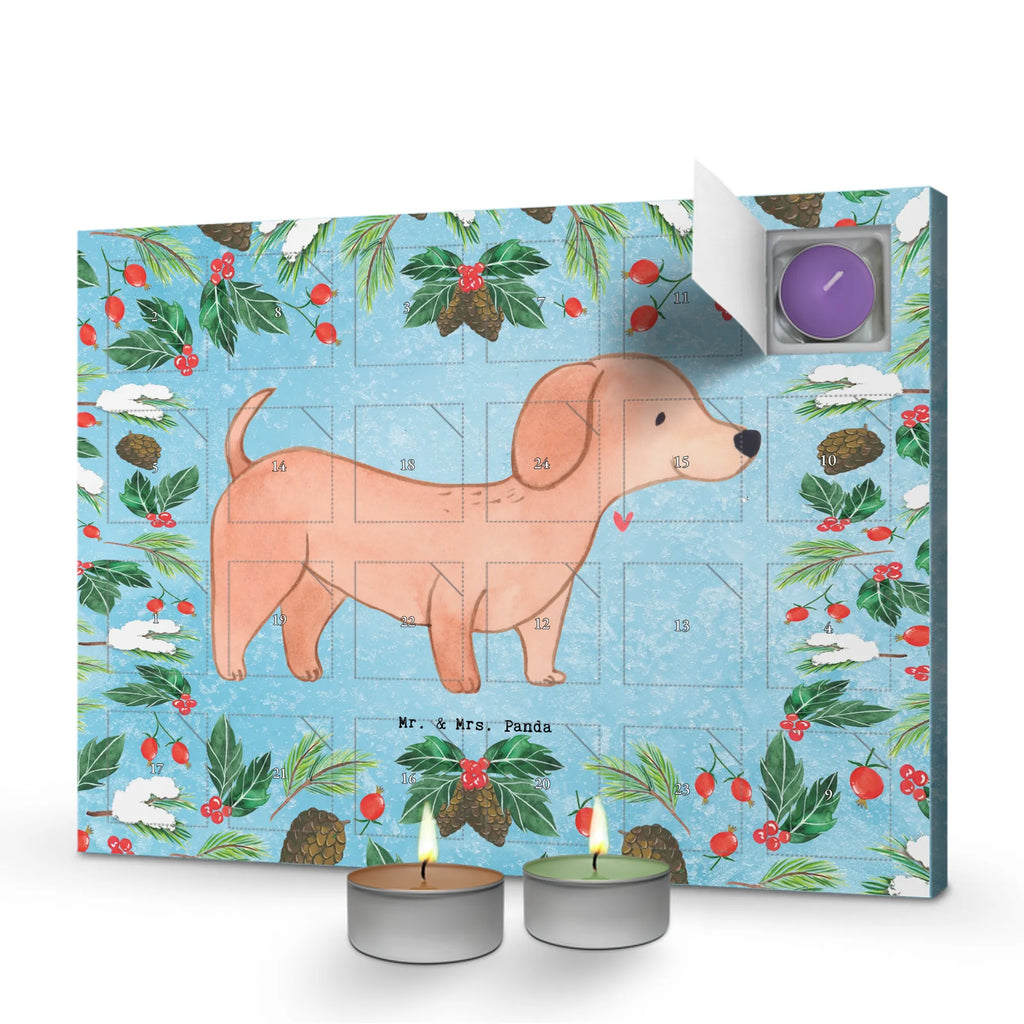  Jamnik krótkowłosy Chwila dawanie, prezent, Pies, rasa psa, pies rasowy, właściciel psa, miłośnik zwierząt, szczeniak