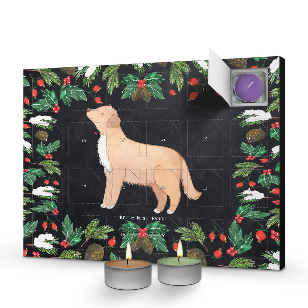  Kaczka z Nowej Szkocji Chwila dawanie, prezent, Pies, rasa psa, pies rasowy, właściciel psa, miłośnik zwierząt, szczeniak