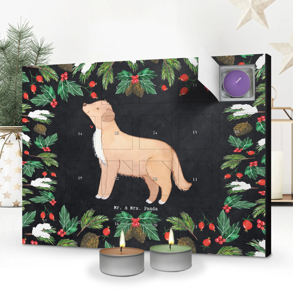  Kaczka z Nowej Szkocji Chwila dawanie, prezent, Pies, rasa psa, pies rasowy, właściciel psa, miłośnik zwierząt, szczeniak