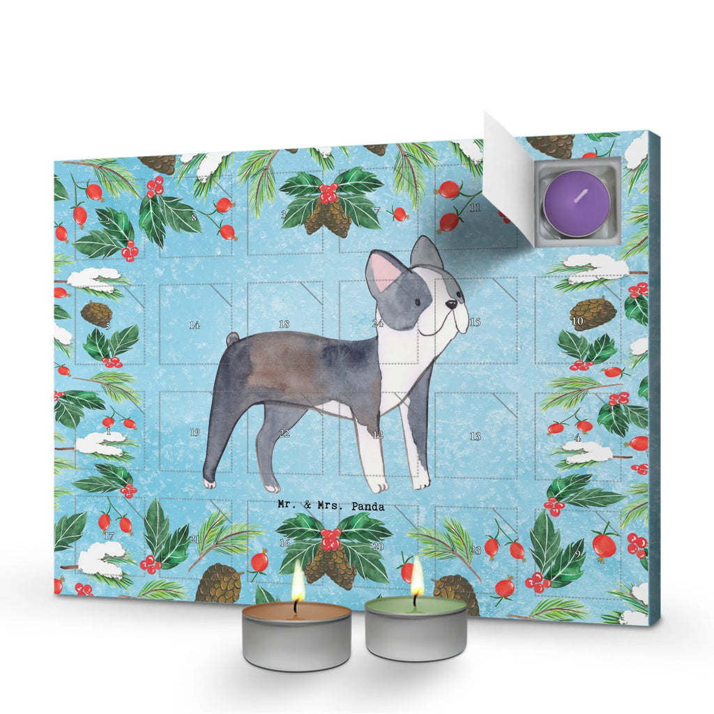 Scented candle advent calendar Boston Terrier Moment gift, animal lover, giving, dog breed, purebred dog, dog owner, puppy