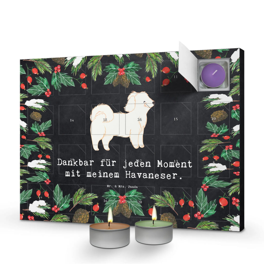 Adventskalender Havaneser Moment kerzenkalender, adventskalender mit duftkerzen, Kerzen Adventskalender, Duftkerzen Adventskalender, adventskalender mit kerzen, aroma adventskalender, duft adventskalender, Adventskalender, advent kalender, duft kalender, Weihnachtskalender, adventskalender kerzen, duftkerzenkalender, adventskalender duftkerzen, adventskerzen kalender, weihnachts adventskalender, raumduft adventskalender, Hund, Hunderasse, Geschenk, Rassehund, Hundebesitzer, Tierfreund, Welpe, Schenken, Havaneser, Bichon Havanais, Havi, Bichón Habanero