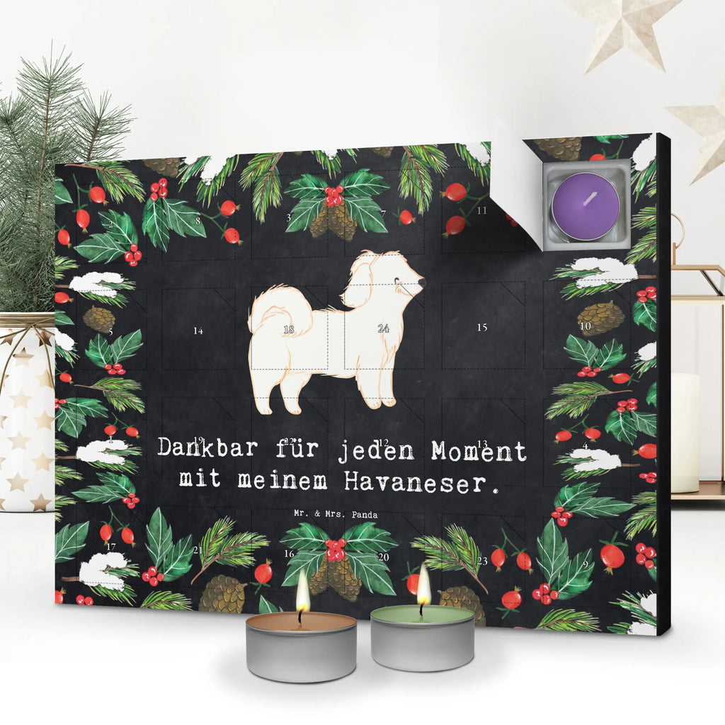Adventskalender Havaneser Moment kerzenkalender, adventskalender mit duftkerzen, Kerzen Adventskalender, Duftkerzen Adventskalender, adventskalender mit kerzen, aroma adventskalender, duft adventskalender, Adventskalender, advent kalender, duft kalender, Weihnachtskalender, adventskalender kerzen, duftkerzenkalender, adventskalender duftkerzen, adventskerzen kalender, weihnachts adventskalender, raumduft adventskalender, Hund, Hunderasse, Geschenk, Rassehund, Hundebesitzer, Tierfreund, Welpe, Schenken, Havaneser, Bichon Havanais, Havi, Bichón Habanero