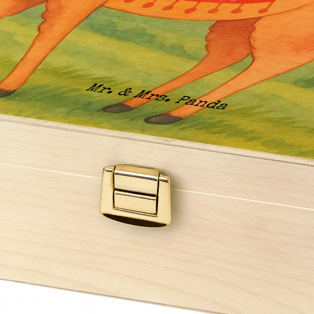  alpaca Proud Design alpaca, animal, llama, pako, camel, Peru, favourite animal