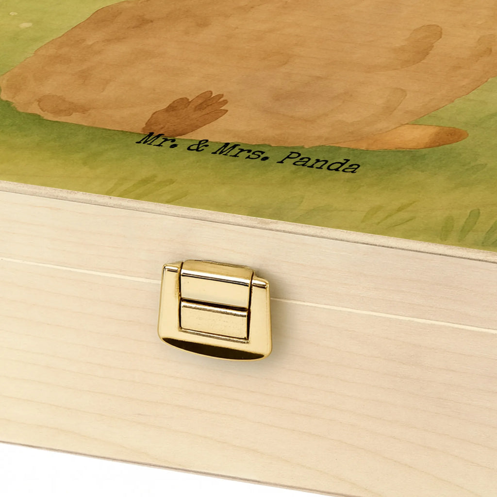  alpaca banner Design alpaca, animal, llama, pako, camel, Peru, favourite animal, Alpaca, alpacas, llamas