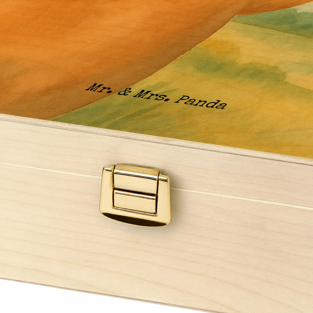  Niedźwiedź Egzamin Design Niedźwiedź, Miś, Pluszowy miś