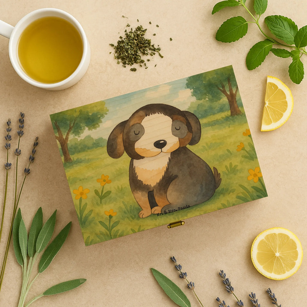  pies relaks Design Pies, rasa psa, właściciel psa, miłośnik zwierząt, motyw psa, zwierzę domowe, powiedzenia