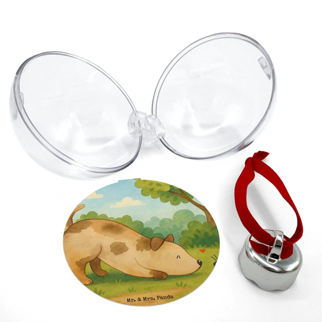  pies biedronka Design Pies, rasa psa, właściciel psa, miłośnik zwierząt, motyw psa, zwierzę domowe, powiedzenia