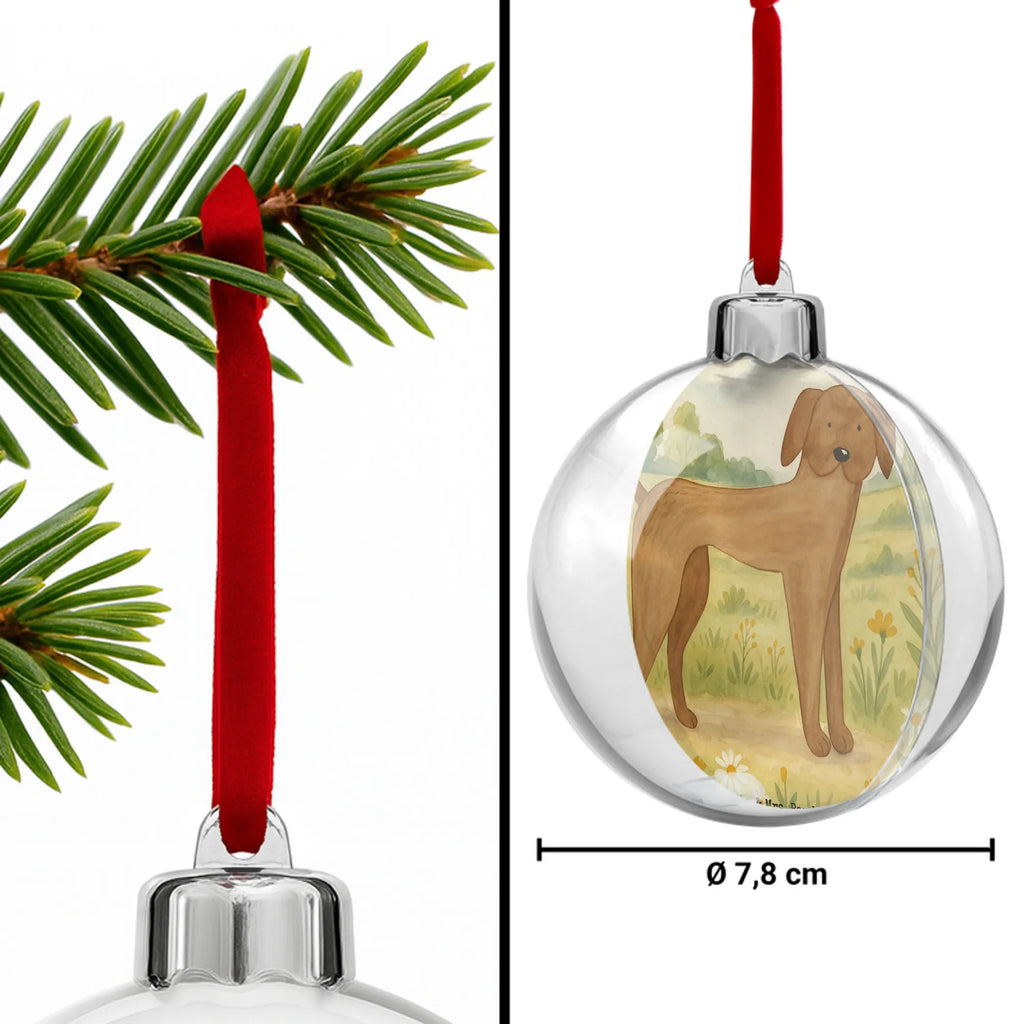 Weihnachtskugel Hund Dogge Design Dekokugel, christbaum anhänger, weihnachtsanhänger, deko kugel, baumkugel, christbaumkugel, plastik weihnachtskugel, weihnachtskugel deko, weihnachtsbaumkugeln, kunststoffkugel, weihnachtsbaumkugel, weihnachtskugeln deko, baumkugeln, dekohänger, Weihnachtskugel, weihnachtskugel transparent, weihnachtskugeln, dekokugeln, baum anhänger, kunststoff weihnachtskugel, kugel weihnachten, transparente weihnachtskugel, weihnachtsdeko kugeln, weihnachtsbaum anhänger, hängekugel, christbaumkugeln, baumanhänger, Sprüche, Hund, Hunderasse, Hundebesitzer, Hundemotiv, Haustier, Tierliebhaber, Hunde, Deutsche Dogge, Great Dane, Dogge