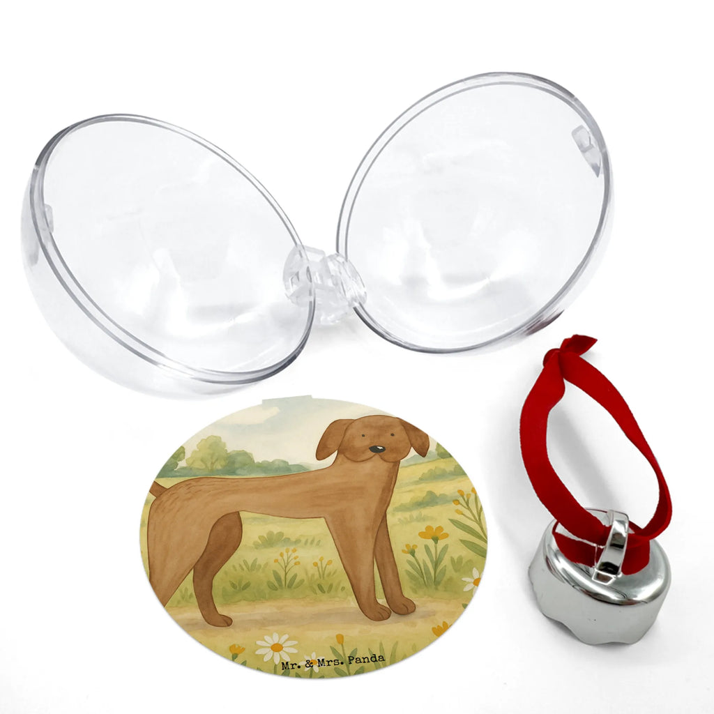 Weihnachtskugel Hund Dogge Design Dekokugel, christbaum anhänger, weihnachtsanhänger, deko kugel, baumkugel, christbaumkugel, plastik weihnachtskugel, weihnachtskugel deko, weihnachtsbaumkugeln, kunststoffkugel, weihnachtsbaumkugel, weihnachtskugeln deko, baumkugeln, dekohänger, Weihnachtskugel, weihnachtskugel transparent, weihnachtskugeln, dekokugeln, baum anhänger, kunststoff weihnachtskugel, kugel weihnachten, transparente weihnachtskugel, weihnachtsdeko kugeln, weihnachtsbaum anhänger, hängekugel, christbaumkugeln, baumanhänger, Sprüche, Hund, Hunderasse, Hundebesitzer, Hundemotiv, Haustier, Tierliebhaber, Hunde, Deutsche Dogge, Great Dane, Dogge