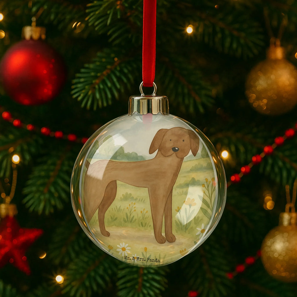 Weihnachtskugel Hund Dogge Design Dekokugel, christbaum anhänger, weihnachtsanhänger, deko kugel, baumkugel, christbaumkugel, plastik weihnachtskugel, weihnachtskugel deko, weihnachtsbaumkugeln, kunststoffkugel, weihnachtsbaumkugel, weihnachtskugeln deko, baumkugeln, dekohänger, Weihnachtskugel, weihnachtskugel transparent, weihnachtskugeln, dekokugeln, baum anhänger, kunststoff weihnachtskugel, kugel weihnachten, transparente weihnachtskugel, weihnachtsdeko kugeln, weihnachtsbaum anhänger, hängekugel, christbaumkugeln, baumanhänger, Sprüche, Hund, Hunderasse, Hundebesitzer, Hundemotiv, Haustier, Tierliebhaber, Hunde, Deutsche Dogge, Great Dane, Dogge