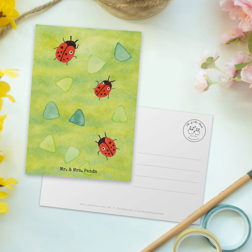 Postkarte Marienkäfer Design Design Ansichtskarten, spruchkarte, Ansichtskarte, einzelkarte, Fotokarte, bildkarte, Grußkarte, Postkarte, Postkarten, kunstkarte, Kunstkarten, Motivkarte, Designkarte, Muster, Aquarell, Marienkäfer, Grüne Punkte, Niedlich, Verspielt
