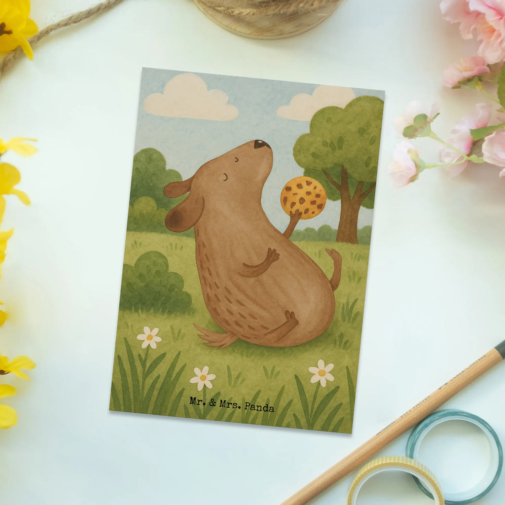 Postkarte Hund Keks Design Fotokarte, Postkarten, Ansichtskarte, Designkarte, Postkarte, bildkarte, spruchkarte, einzelkarte, Kunstkarten, kunstkarte, Ansichtskarten, Grußkarte, Motivkarte, Sprüche, Hund, Hunderasse, Hundebesitzer, Hundemotiv, Haustier, Tierliebhaber, Hundekekse, Leckerli, Hundeleckerli, Hundesnacks