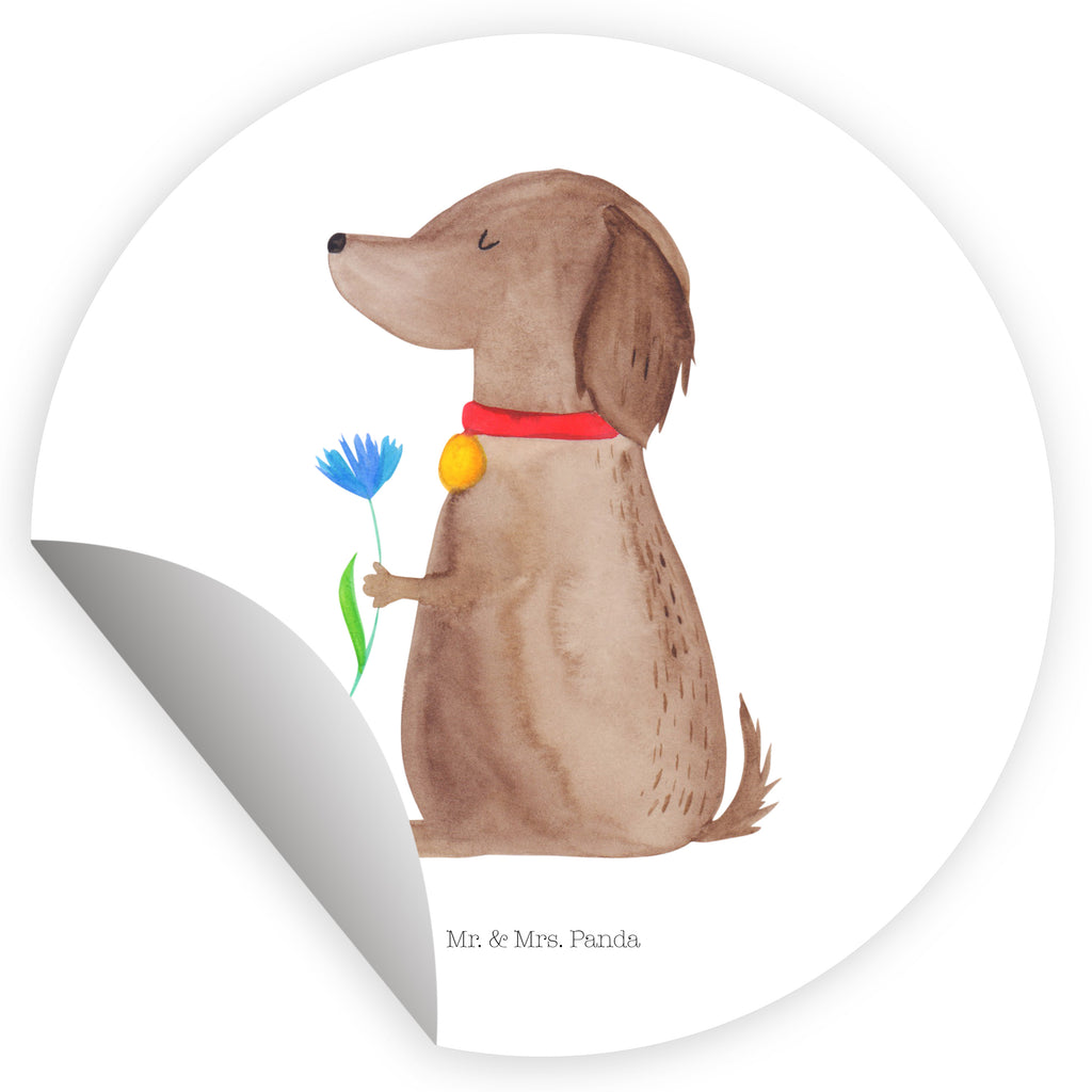 Rund Aufkleber Hund Blume Sticker, Aufkleber, Etikett, Hund, Hundemotiv, Haustier, Hunderasse, Tierliebhaber, Hundebesitzer, Sprüche, Hunde, Frauchen, Hundeliebe