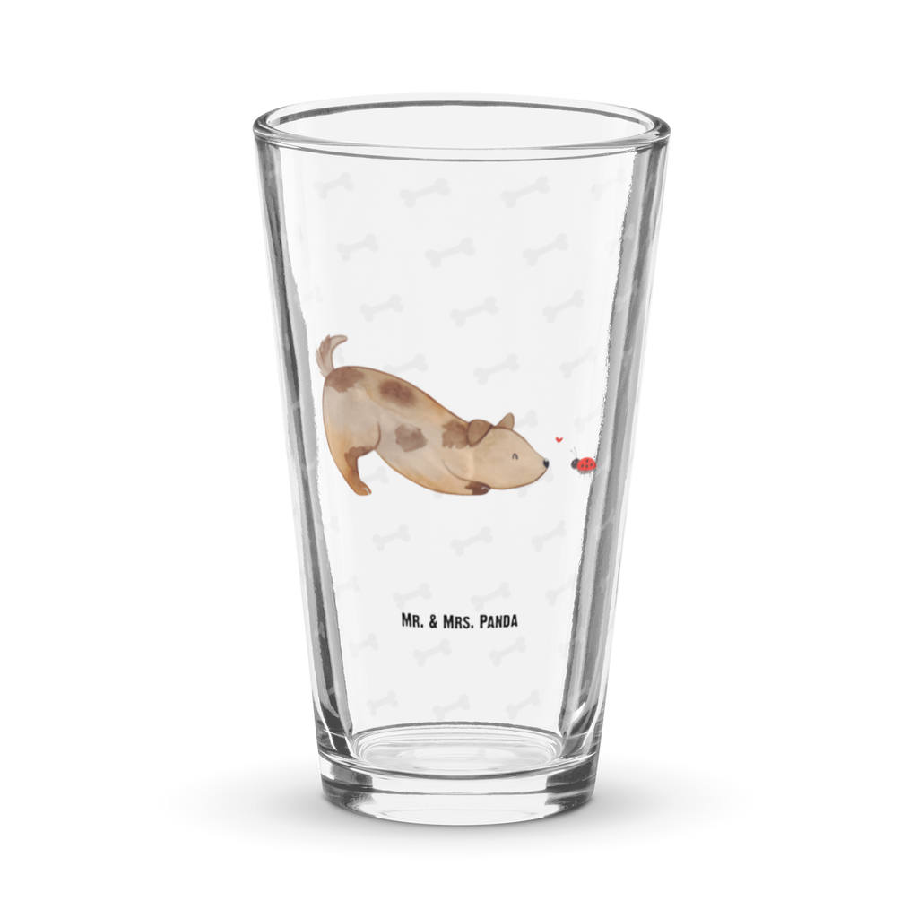 Premium Trinkglas Hund Marienkäfer Trinkglas, Glas, Pint Glas, Bierglas, Cocktail Glas, Wasserglas, Hund, Hundemotiv, Haustier, Hunderasse, Tierliebhaber, Hundebesitzer, Sprüche, Hunde, Hundespruch, Marienkäfer, Mischling, Mischlinghund