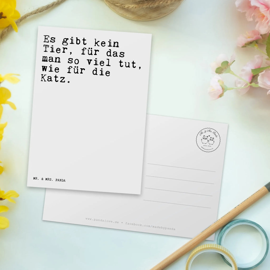 Postkarte Sprüche und Zitate Es gibt kein Tier, für das man so viel tut, wie für die Katz. Karte, Postkarte, Ansichtskarte, Ansichtskarten, Einladungskarten Geburtstag, Einladungskarte, Geschenkkarte, Einladung Geburtstag, Dankeskarte, Geburtstagskarte, Einladung, Grußkarte, Spruch, Sprüche, lustige Sprüche, Weisheiten, Zitate, Spruch Geschenke, Spruch Sprüche Weisheiten Zitate Lustig Weisheit Worte