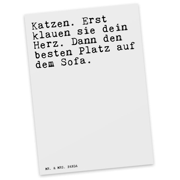 Postkarte Katzen. Erst klauen sie...