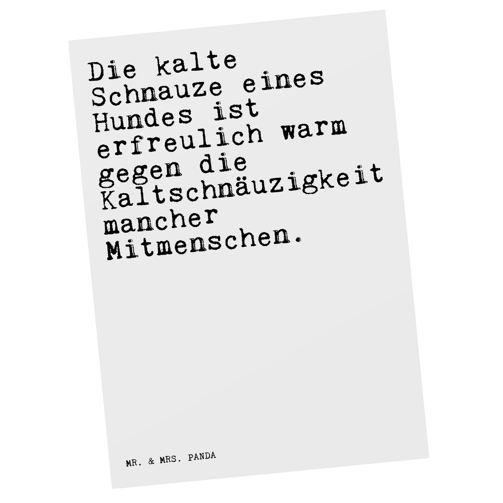 Postcard Die kalte Schnauze eines... paper, card, Postcard, invitation, gift, letter, postcards, invitation card, gift card, saying, sayings, funny, wisdom, quotes, Sayings Proverbs Wisdom Quotes Funny Wisdom Words