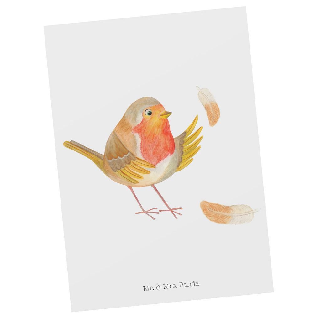 Postcard robin feathers Ansichtskarten, Designkarte, kunstkarte, Postkarte, Fotokarte, Motivkarte, bildkarte, Postkarten, Kunstkarten, Ansichtskarte, einzelkarte, Grußkarte, spruchkarte, Tiere, Tiermotive, Lustige Sprüche, Gute Laune, Spruch Mut, fliegen, Vogel, Rotkehlchen, Motivation Sprüche, Motivationsbilder, What If I Fall, Spruch Motivation