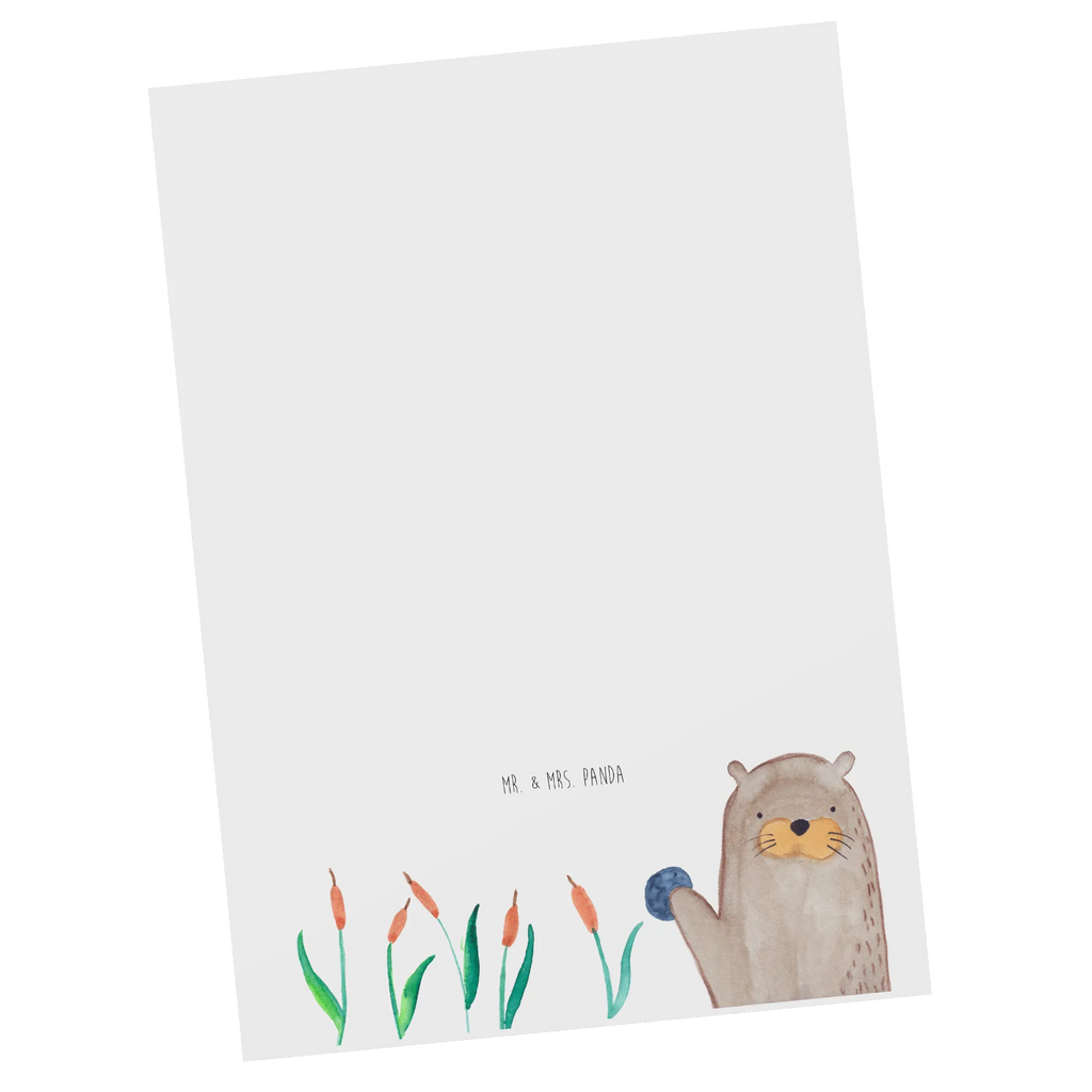 Pocztówka wydra kamień Kuna, wydra, morska wydra